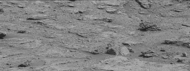 Sol 2455: Mast Camera (Mastcam)