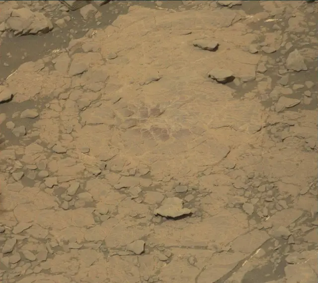 Sol 2459: Mast Camera (Mastcam)