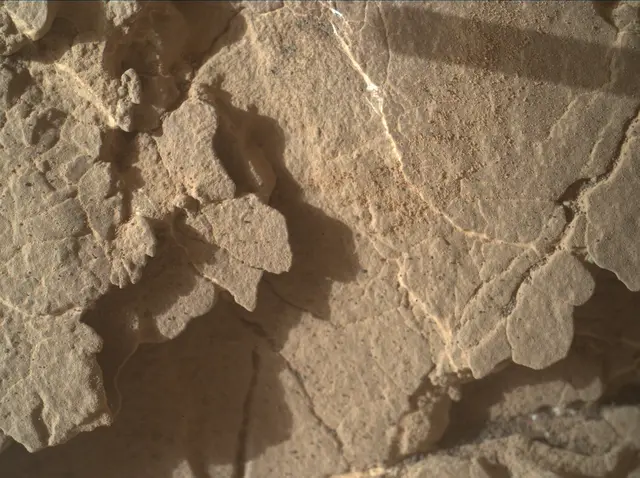 Sol 2461: Mars Hand Lens Imager (MAHLI)