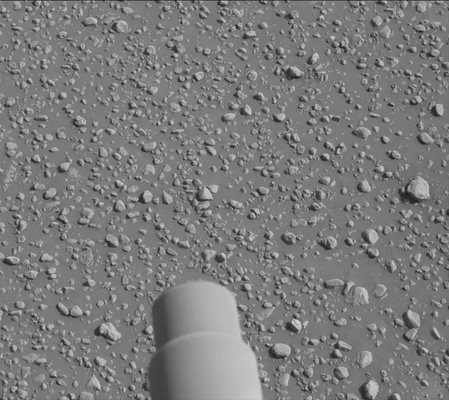 Sol 2466: Mast Camera (Mastcam)
