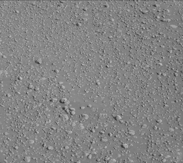 Sol 2466: Mast Camera (Mastcam)