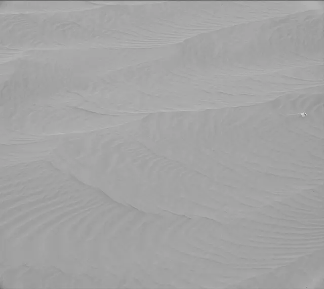 Sol 2469: Mast Camera (Mastcam)
