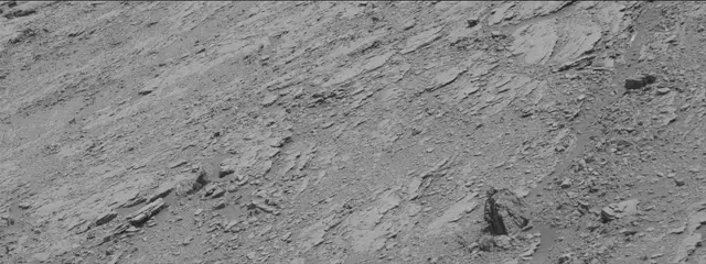 Sol 2480: Mast Camera (Mastcam)