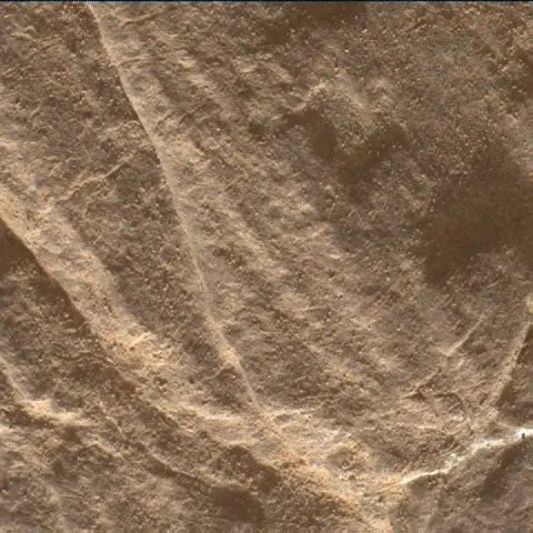 Sol 2482: Mars Hand Lens Imager (MAHLI)