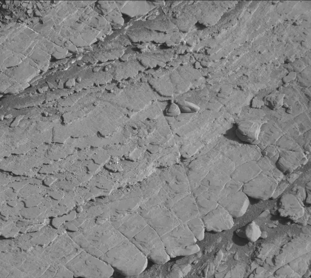 Sol 2502: Mast Camera (Mastcam)