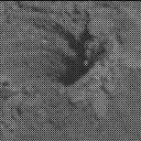 Sol 2528: Mast Camera (Mastcam)