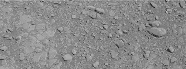 Sol 2556: Mast Camera (Mastcam)