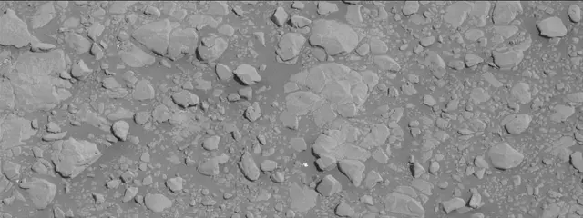 Sol 2556: Mast Camera (Mastcam)