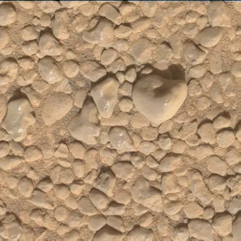 Sol 2557: Mars Hand Lens Imager (MAHLI)