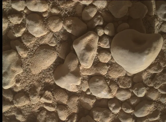 Sol 2558: Mars Hand Lens Imager (MAHLI)