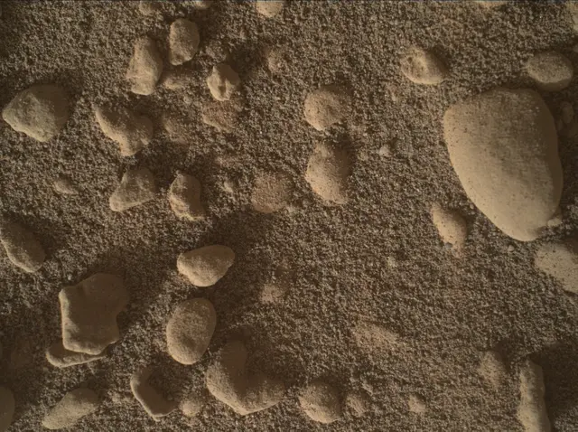 Sol 2558: Mars Hand Lens Imager (MAHLI)