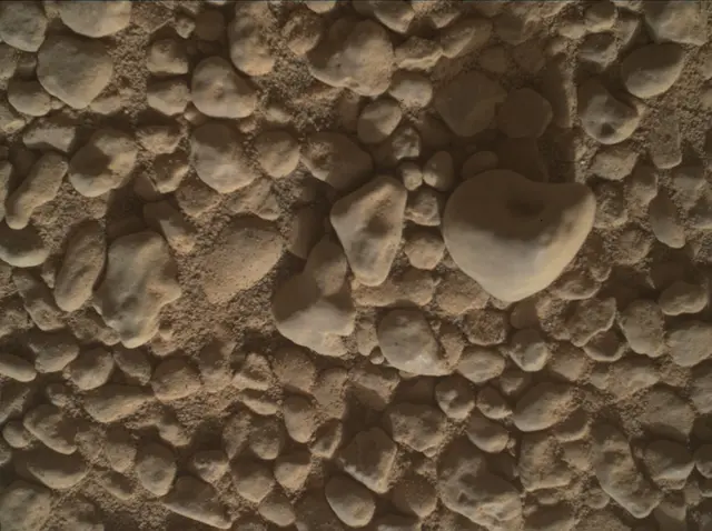 Sol 2558: Mars Hand Lens Imager (MAHLI)