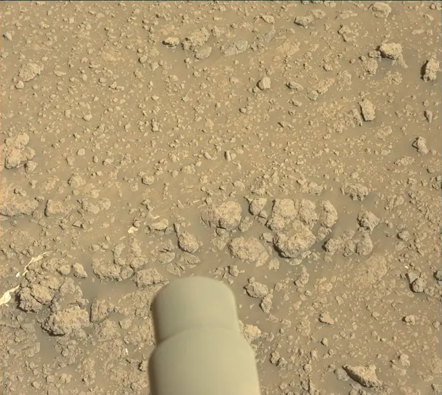 Sol 2559: Mast Camera (Mastcam)