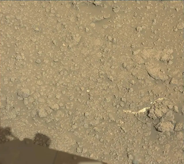 Sol 2559: Mast Camera (Mastcam)