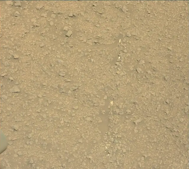 Sol 2559: Mast Camera (Mastcam)