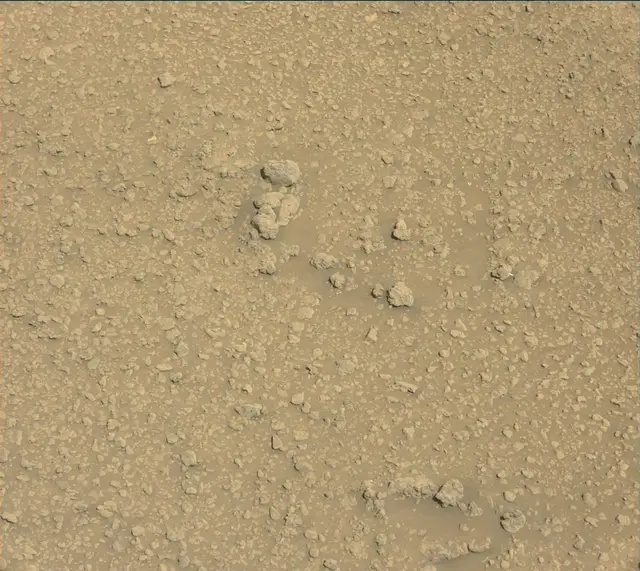 Sol 2559: Mast Camera (Mastcam)