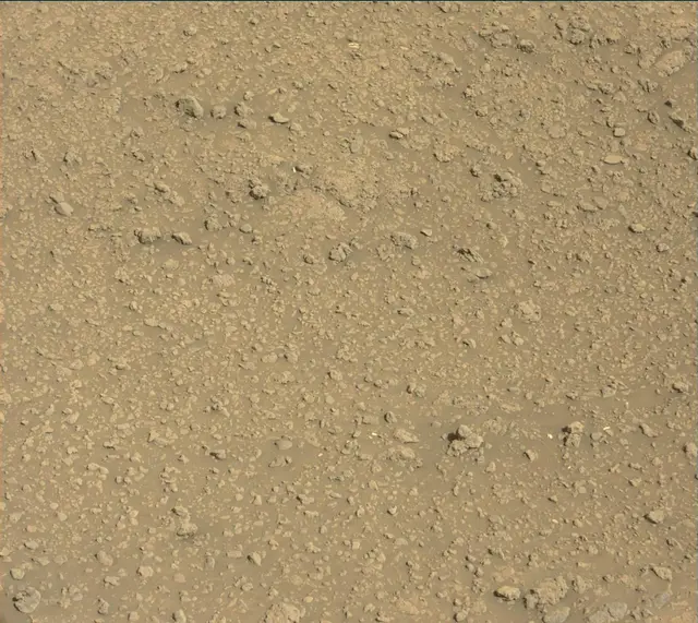 Sol 2559: Mast Camera (Mastcam)