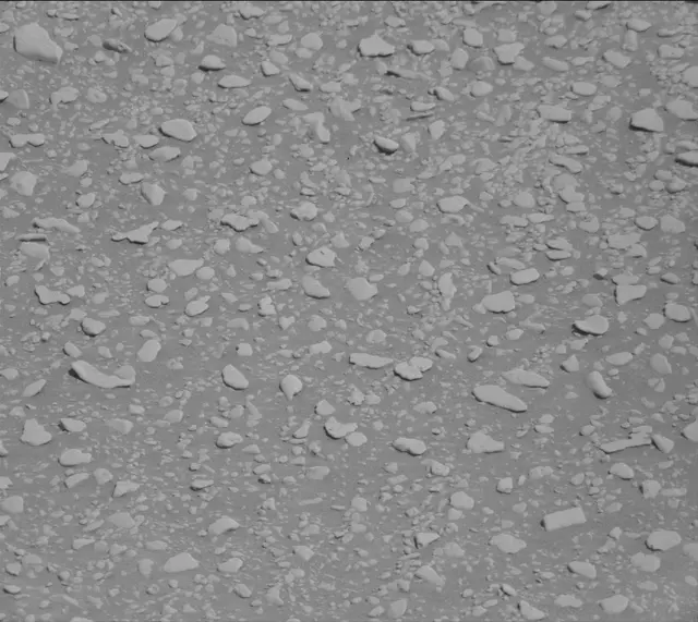Sol 2559: Mast Camera (Mastcam)
