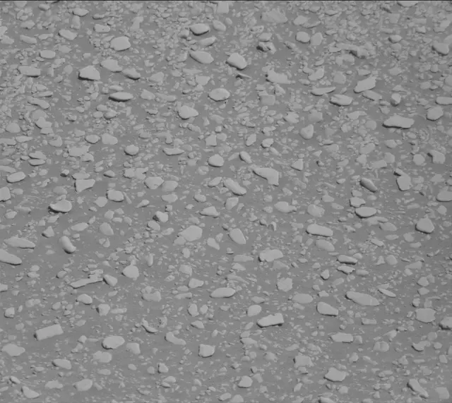 Sol 2559: Mast Camera (Mastcam)