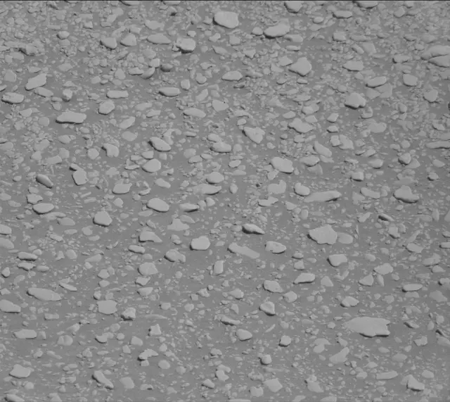 Sol 2559: Mast Camera (Mastcam)