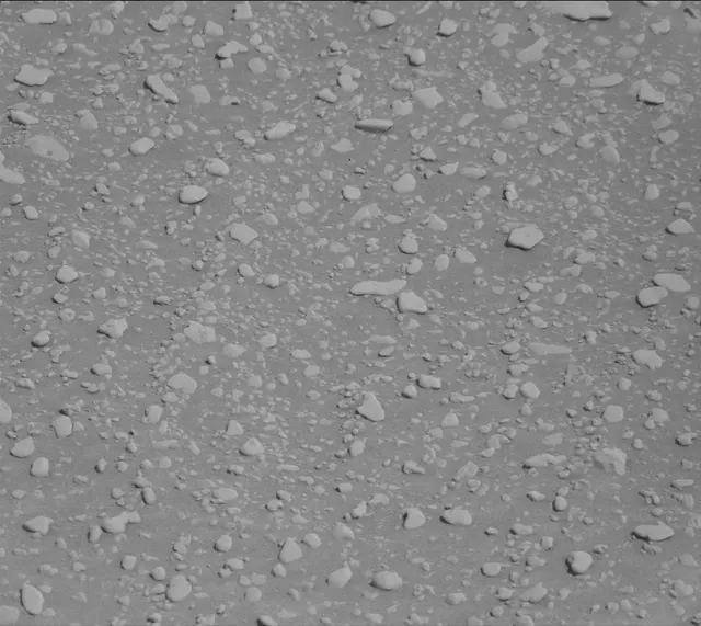 Sol 2559: Mast Camera (Mastcam)