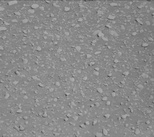 Sol 2559: Mast Camera (Mastcam)