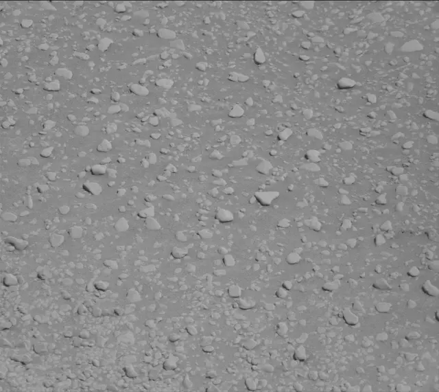 Sol 2559: Mast Camera (Mastcam)