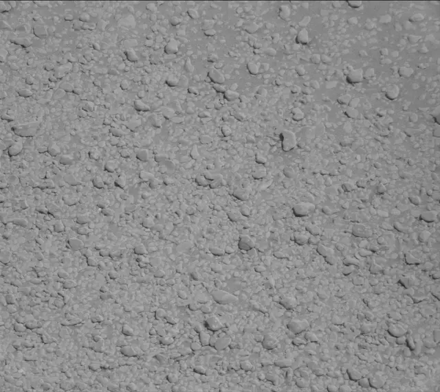 Sol 2559: Mast Camera (Mastcam)