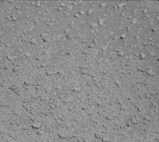 Sol 2559: Mast Camera (Mastcam)
