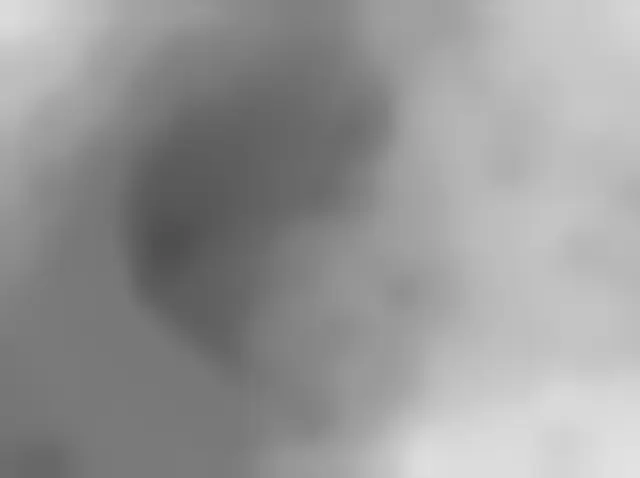Sol 2559: Mars Hand Lens Imager (MAHLI)