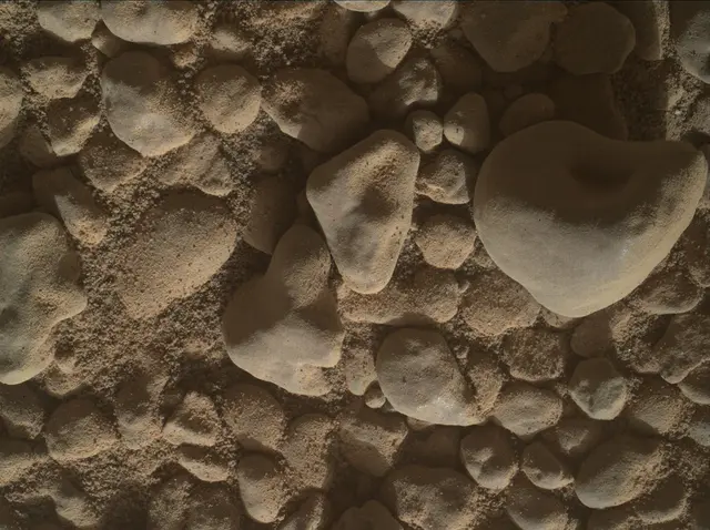 Sol 2559: Mars Hand Lens Imager (MAHLI)