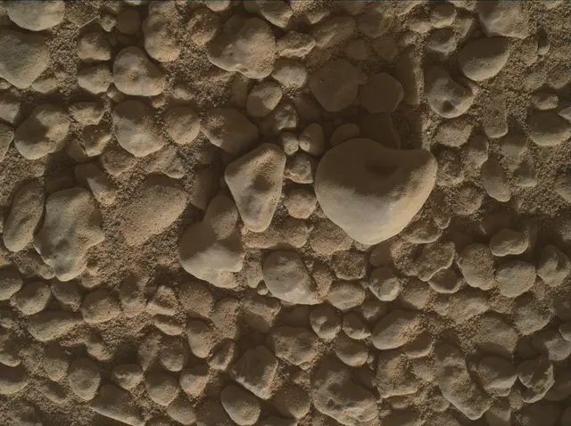 Sol 2559: Mars Hand Lens Imager (MAHLI)