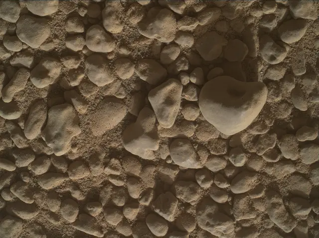 Sol 2559: Mars Hand Lens Imager (MAHLI)
