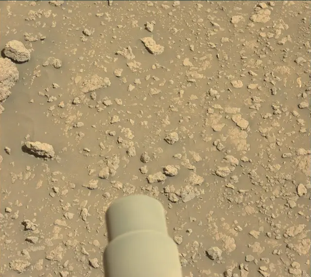 Sol 2563: Mast Camera (Mastcam)