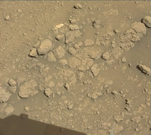 Sol 2563: Mast Camera (Mastcam)