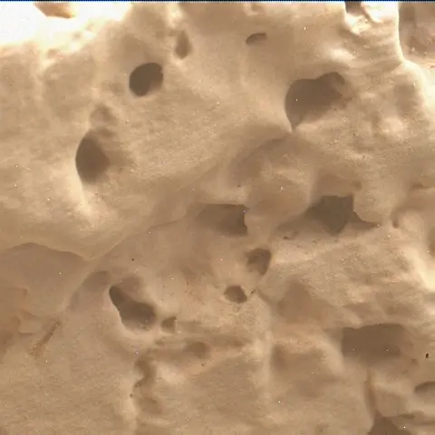 Sol 2564: Mars Hand Lens Imager (MAHLI)