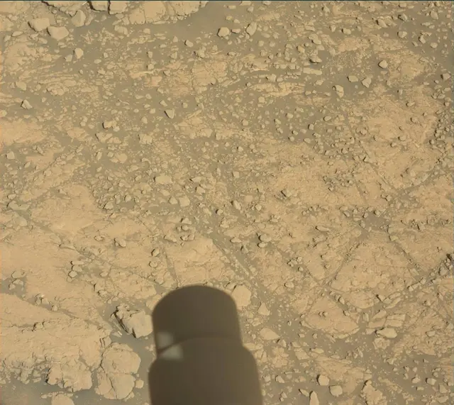 Sol 2565: Mast Camera (Mastcam)