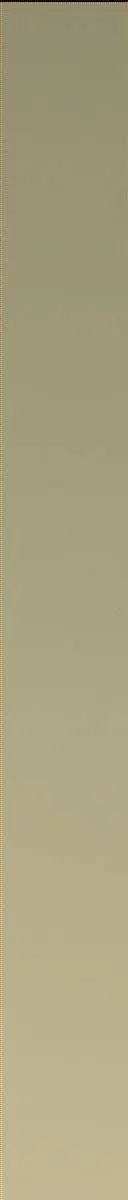 Sol 2569: Mast Camera (Mastcam)