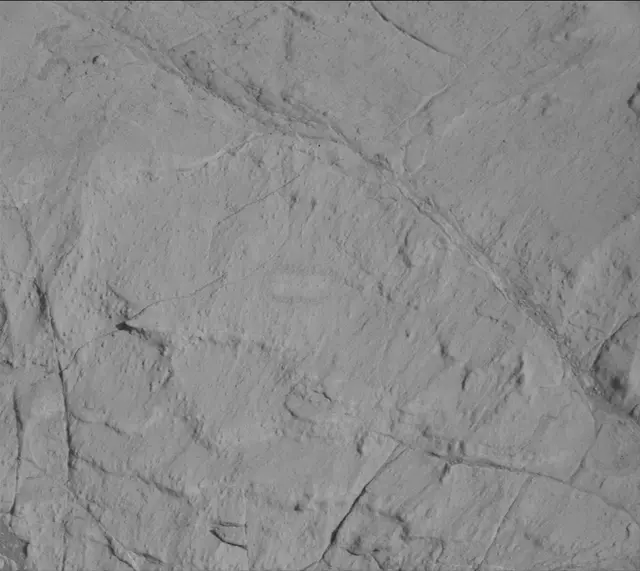 Sol 2572: Mast Camera (Mastcam)