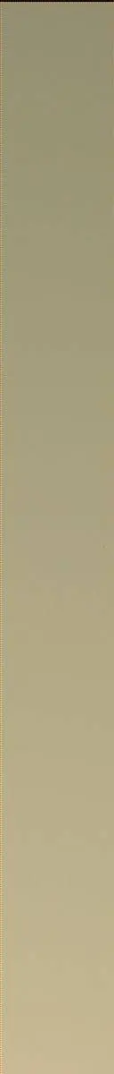 Sol 2578: Mast Camera (Mastcam)
