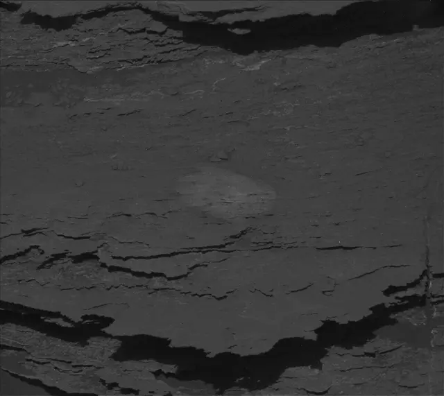 Sol 2582: Mast Camera (Mastcam)
