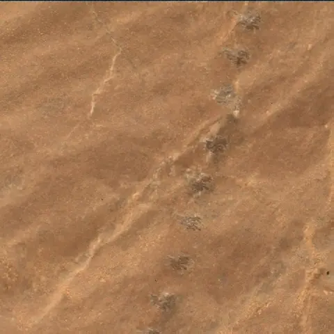 Sol 2590: Mars Hand Lens Imager (MAHLI)