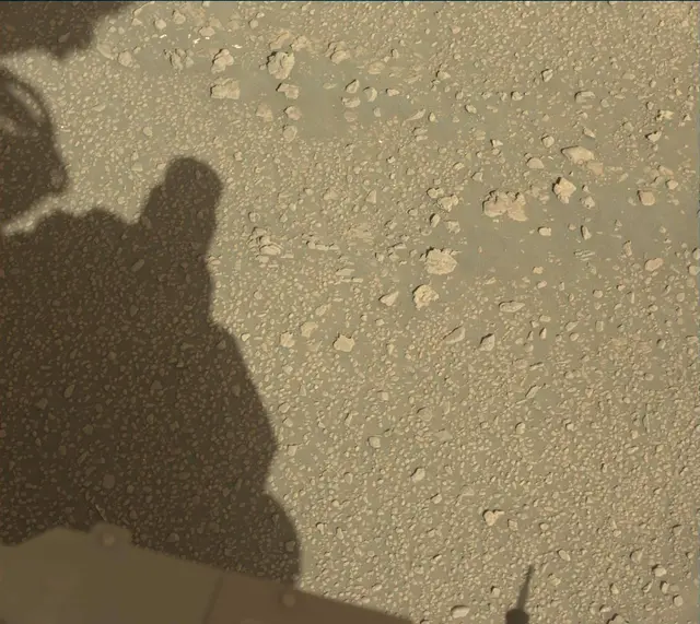 Sol 2593: Mast Camera (Mastcam)