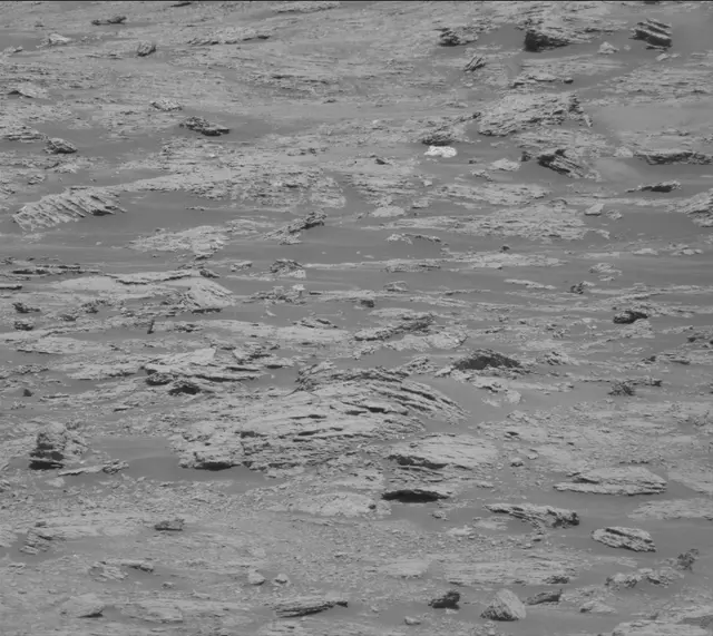 Sol 2600: Mast Camera (Mastcam)