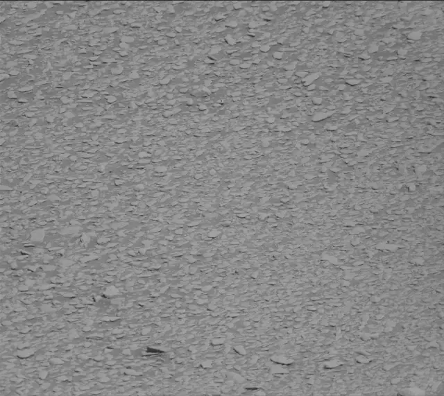 Sol 2600: Mast Camera (Mastcam)