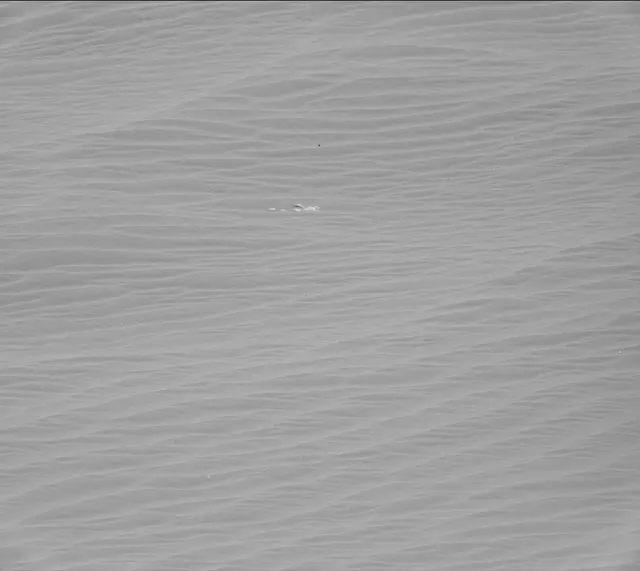 Sol 2601: Mast Camera (Mastcam)