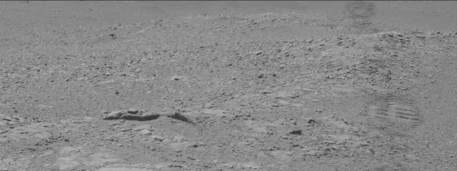 Sol 2602: Mast Camera (Mastcam)