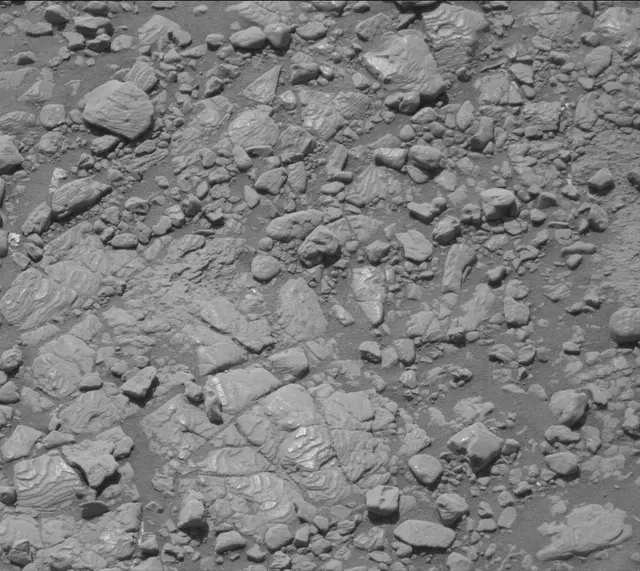 Sol 2602: Mast Camera (Mastcam)
