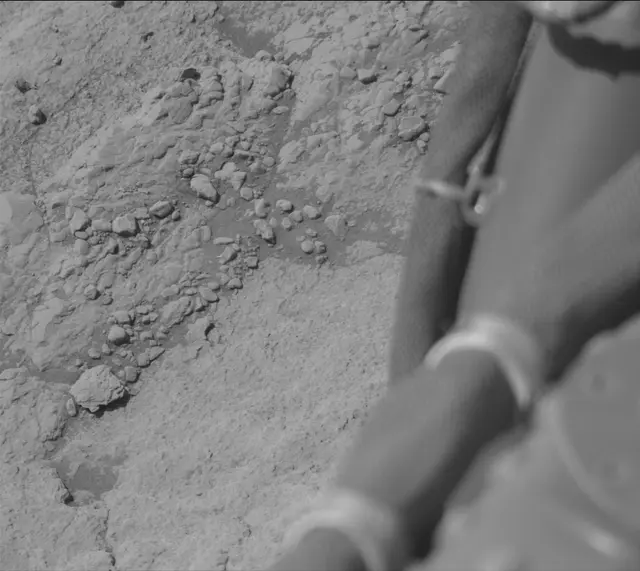 Sol 2602: Mast Camera (Mastcam)