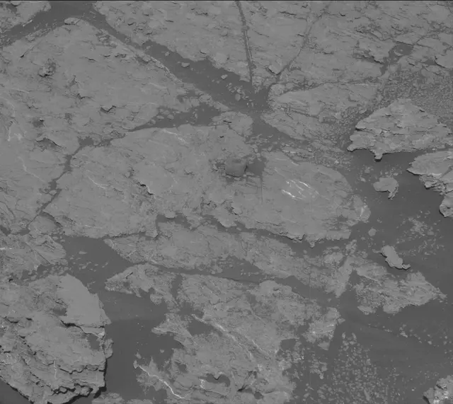 Sol 2609: Mast Camera (Mastcam)